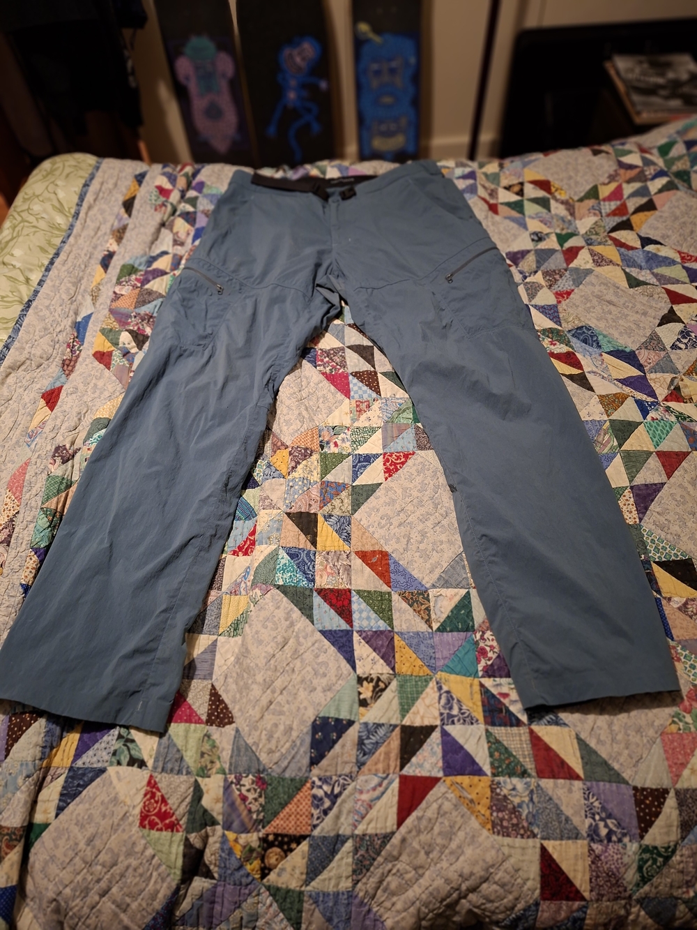 Arc'teryx Men's Pants Blue 36